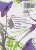BAKEMONOGATARI VOL 04 TP [9781949980400]